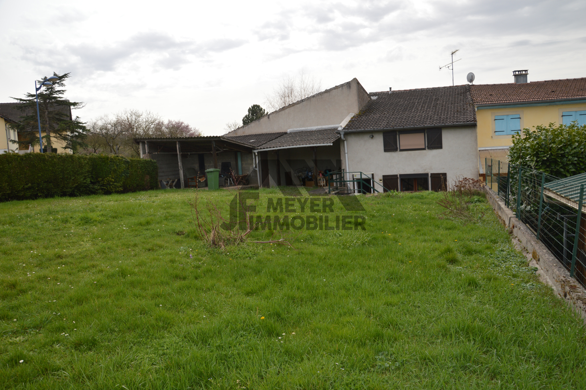 photo1
